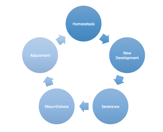 Cycle of Grief and Loss