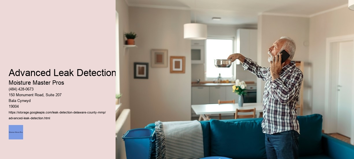 Advanced Leak Detection