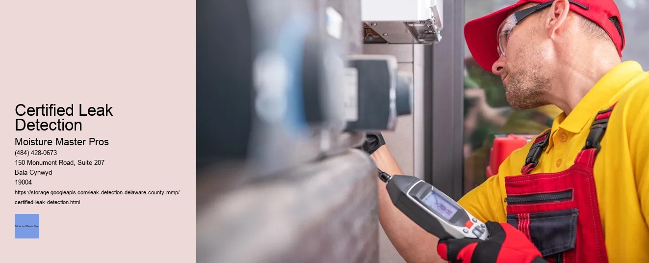 Certified Leak Detection