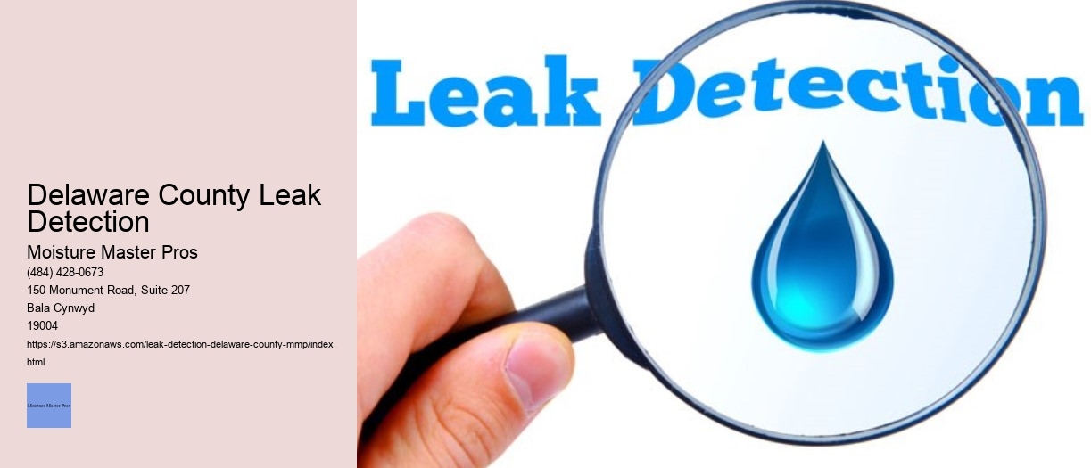 Delaware County Leak Detection