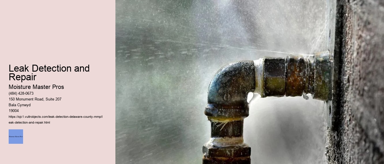 Leak Detection and Repair