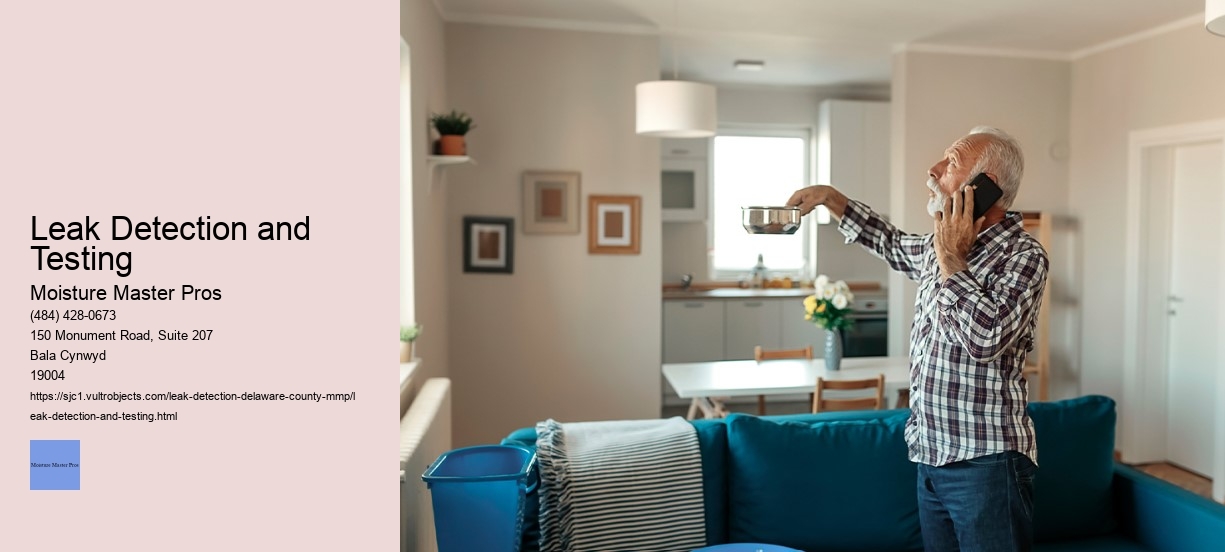 Leak Detection and Testing