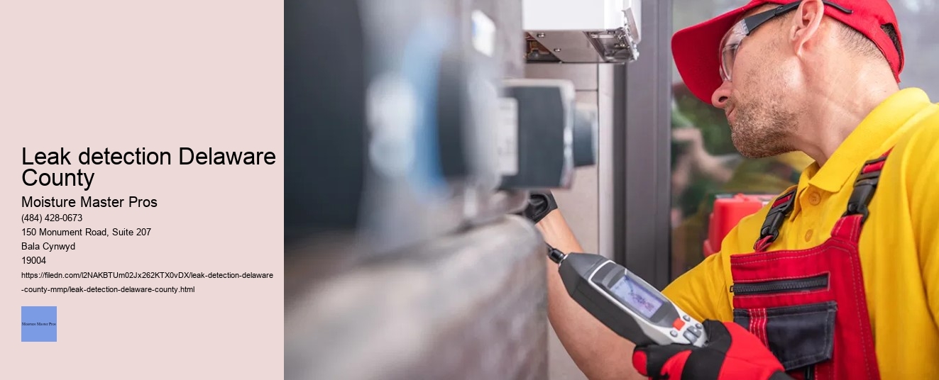 Leak detection Delaware County