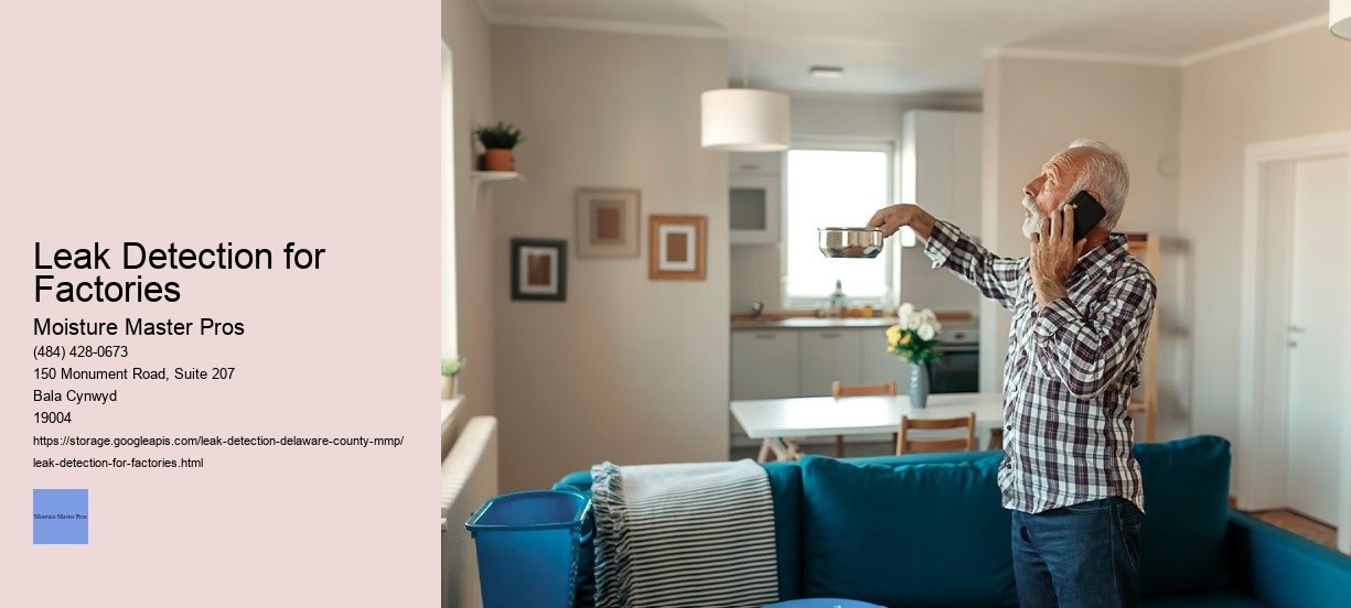 Leak Detection for Factories