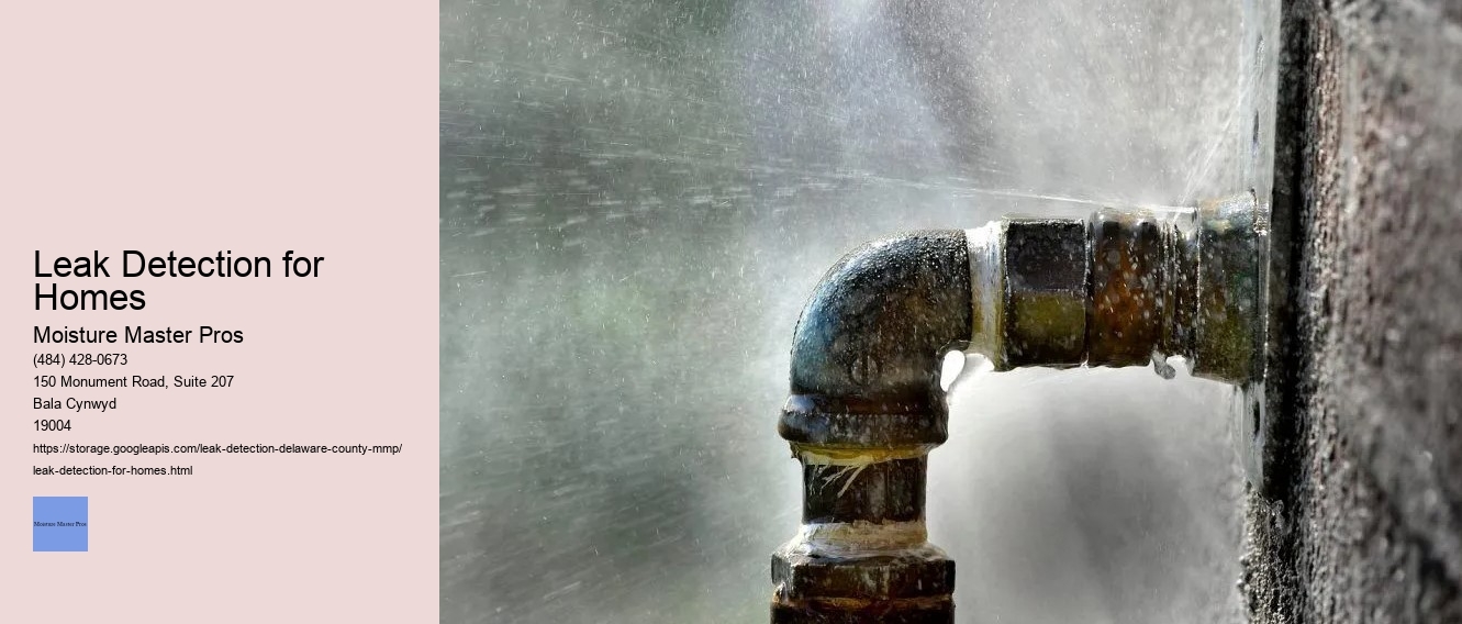 Leak Detection for Homes