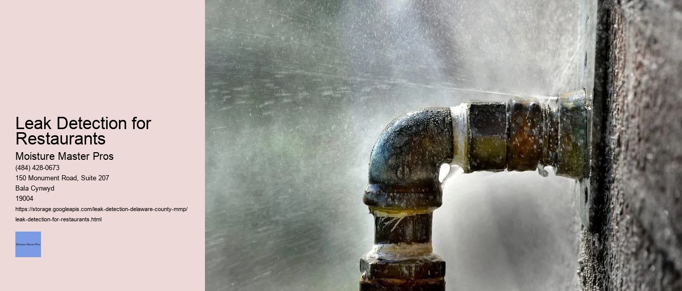 Leak Detection for Restaurants