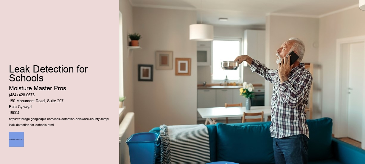 Leak Detection for Schools