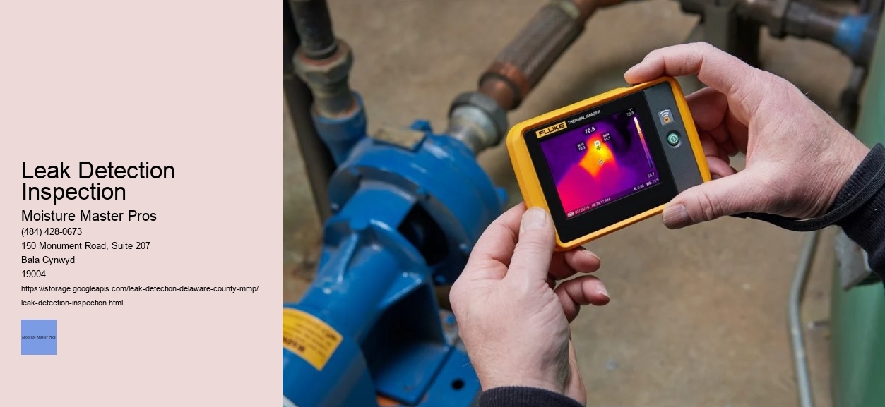 Leak Detection Inspection