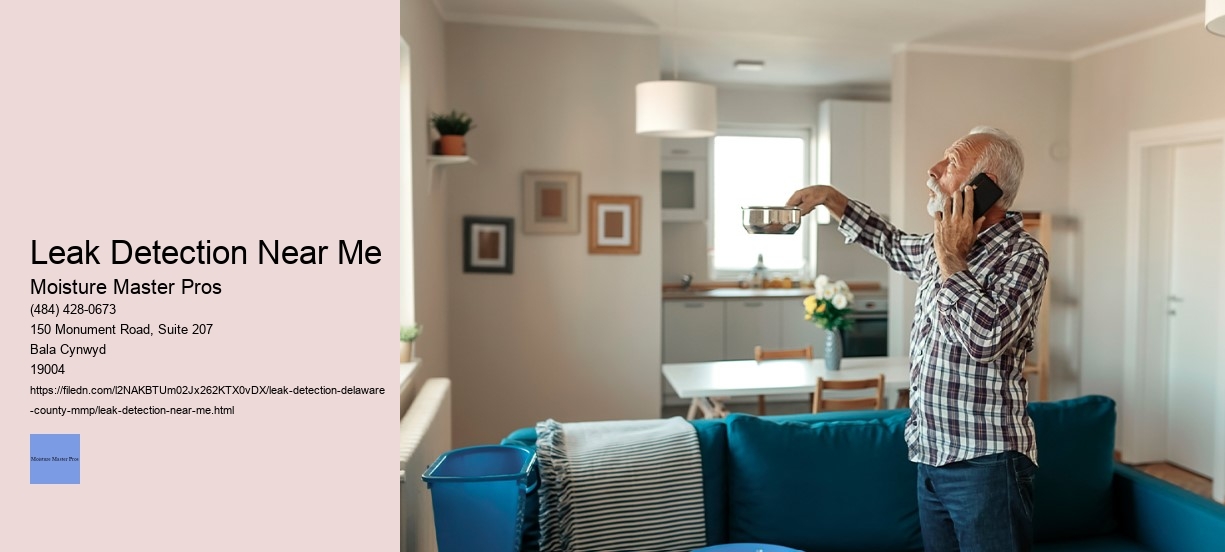 Leak Detection Near Me