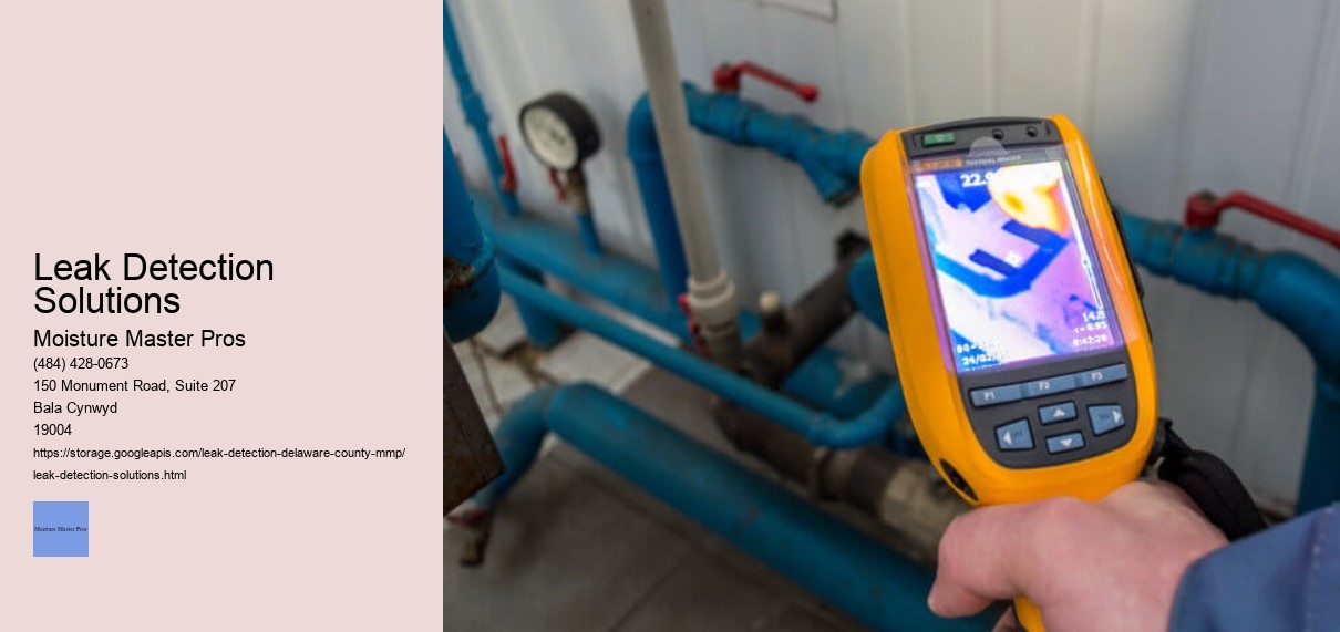 Leak Detection Solutions