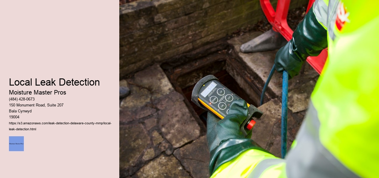 Local Leak Detection 