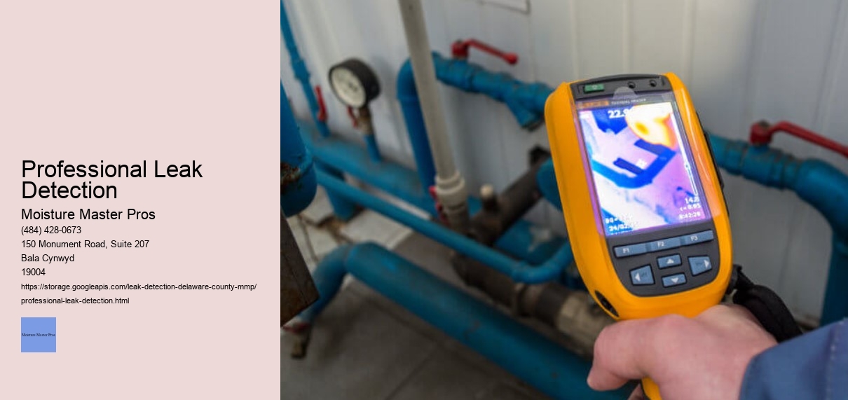 Professional Leak Detection
