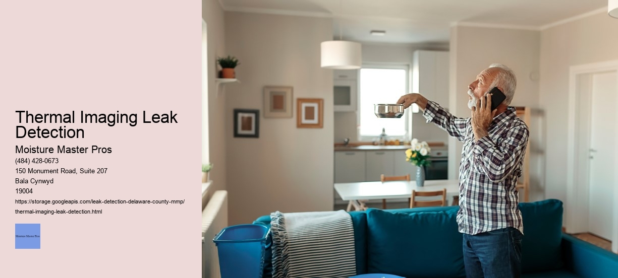 Thermal Imaging Leak Detection