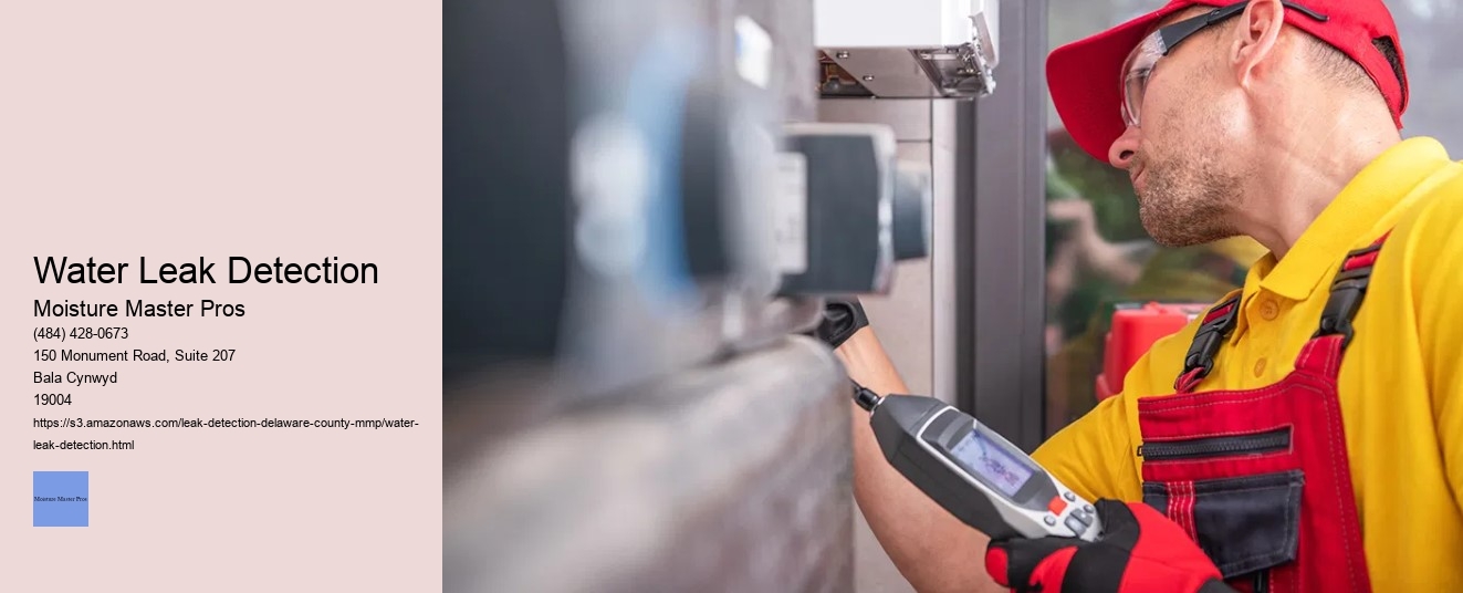 Water Leak Detection