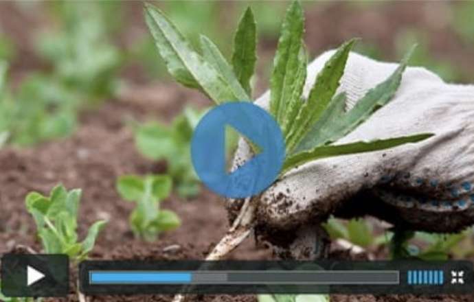 Lean Belly Juice Lawsuit