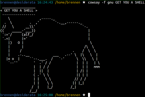 What is the Command Line?