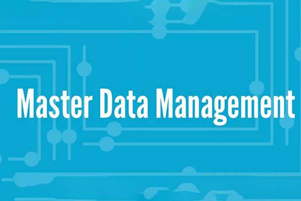 L’état de l’art des MDM (Master Data Management)