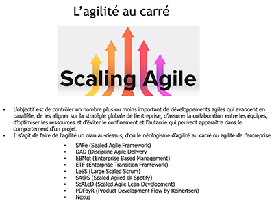 Agilité, Session 10 : Qui utilise Scrum et le "scaling agile"
