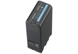 Sony BP-U100 Battery