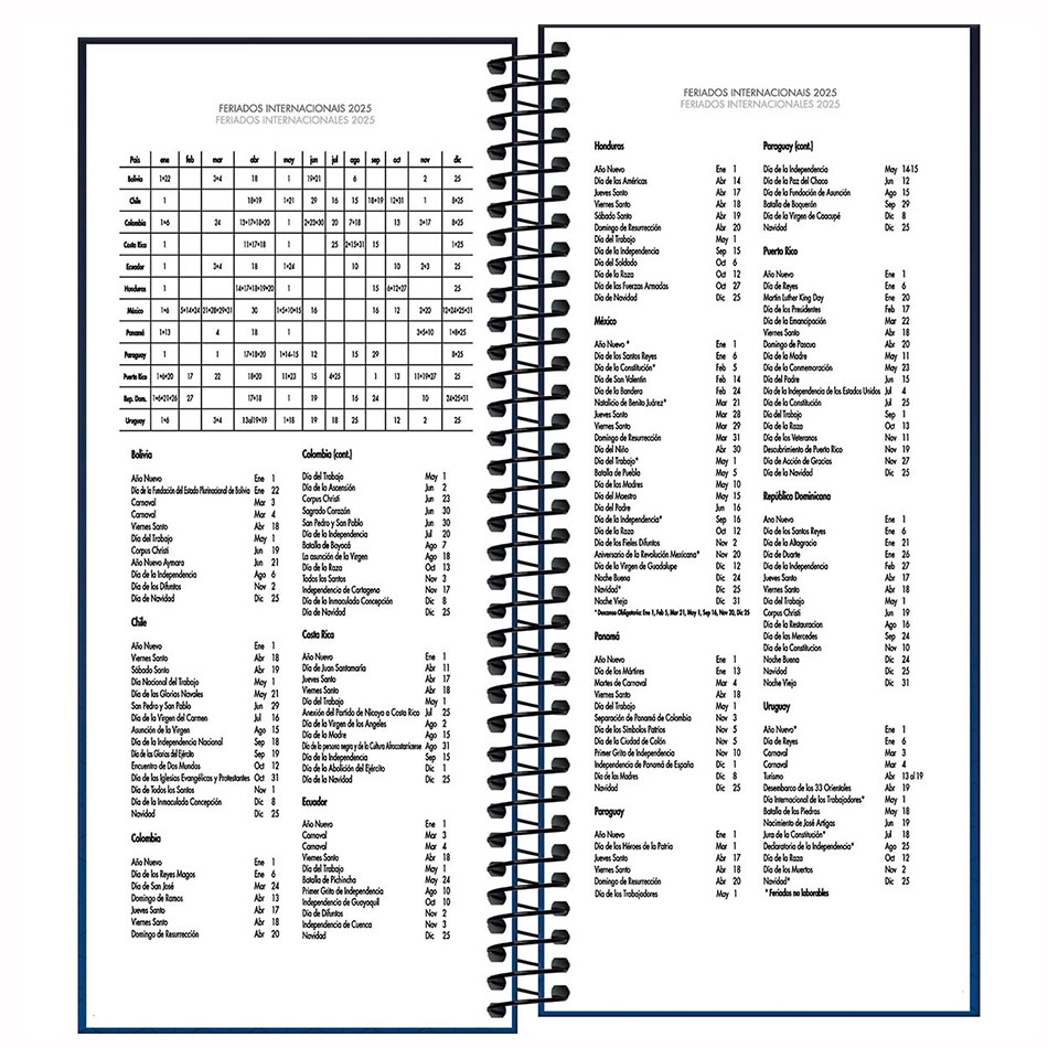 Agenda executiva espiral diária comercial Ideale 275x119mm 2026 - Tilibra