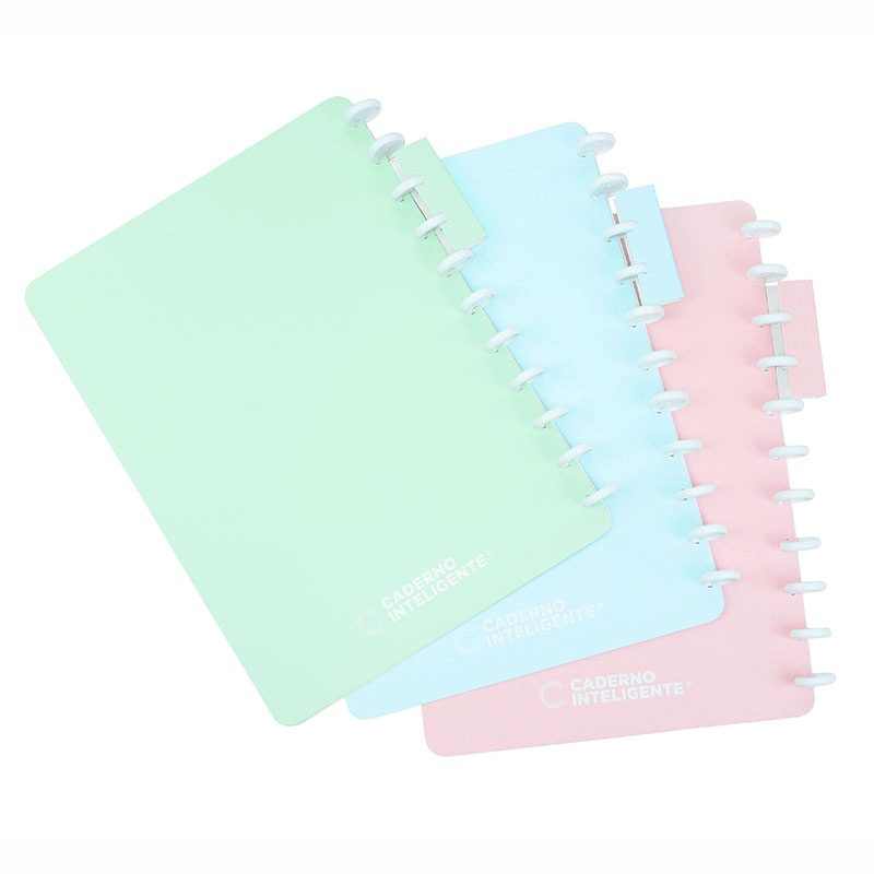 Pasta organizadora CIPO1001 - Caderno Inteligente