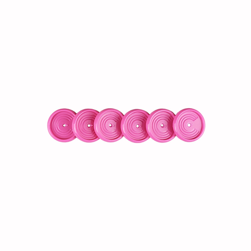 Discos e elástico caderno inteligente Super Pink 23mm CI231051