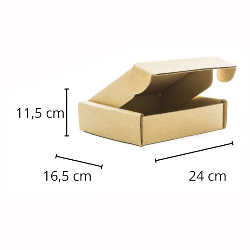 Caixa de papelão multiuso P30 24X16,5X11,5cm - Scrity