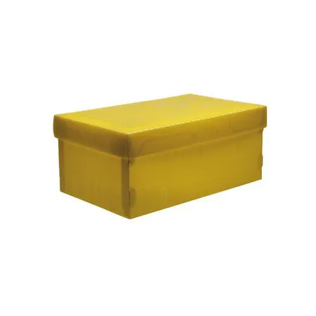 Caixa organizadora mini sapato - amarelo - 2169.A - Dello