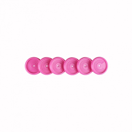 Discos e elástico caderno inteligente Super Pink 23mm CI231051