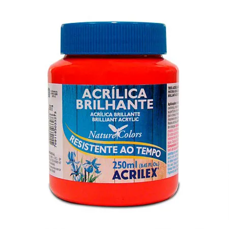 Tinta acrílica brilhante Vermelho Fogo 250ml - 507 - Acrilex