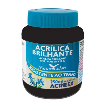 Tinta acrílica brilhante Preto 250ml - 520 - Acrilex