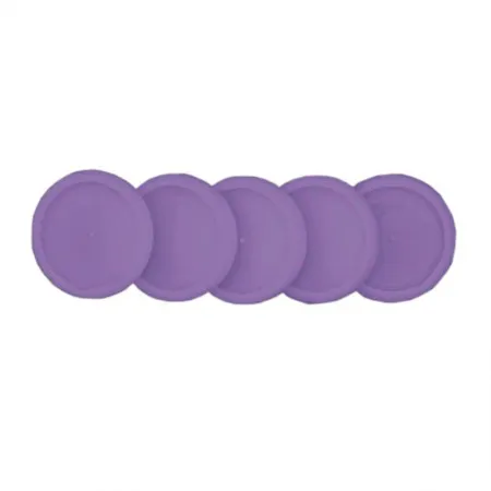Discos e elástico caderno inteligente roxo pampas 31mm CI312018