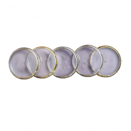 Discos e elástico caderno inteligente borda dourado 31mm CI312008