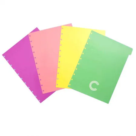Divisória grande com 4 abas pastel CIDG4003 - Caderno Inteligente