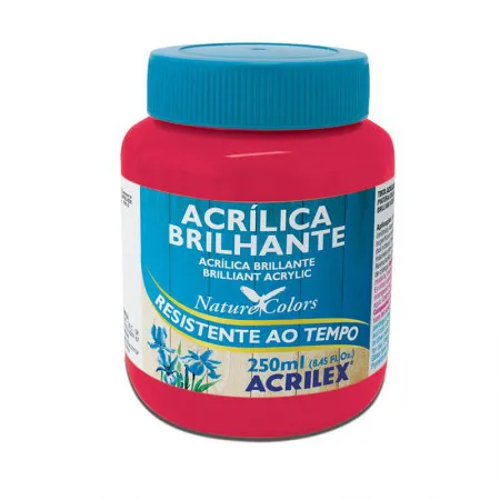 Tinta acrílica brilhante Rosa Escuro 250ml - 542 - Acrilex