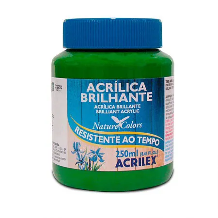 Tinta acrílica brilhante Verde Musgo 250ml - 513 - Acrilex