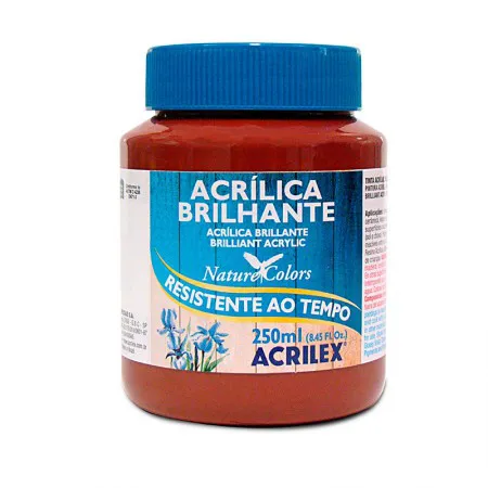 Tinta acrílica brilhante Marrom 250ml - 531 - Acrilex