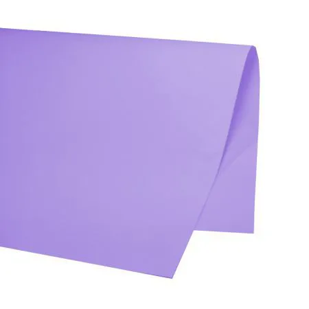 Papel cartão color set Lilás 48x66cm 20 folhas - VMP