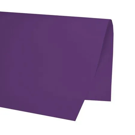 Papel cartão color set Roxo 48x66cm 20 folhas - VMP