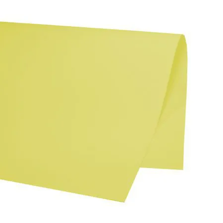 Papel cartão color set Amarelo 48x66cm 20 folhas - VMP