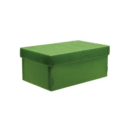Caixa organizadora mini sapato - verde - 2169.T - Dello