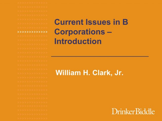 Current Issues in B Corporations