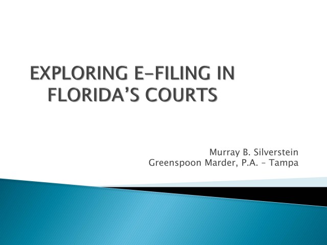 Explore Florida's Complex E-Filing System