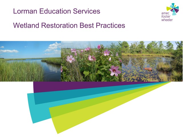 Wetland Restoration Best Practices