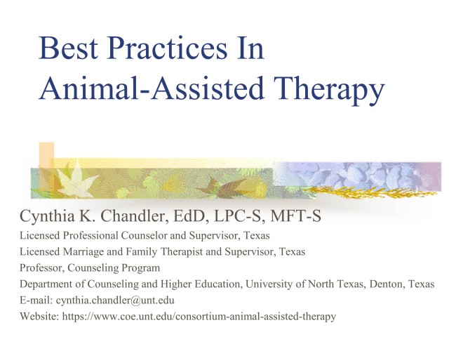 Best Practices in Animal-Assisted Therapy