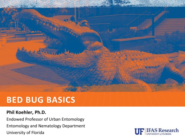 Bedbug Invasions in the Workplace: Are You at Risk?