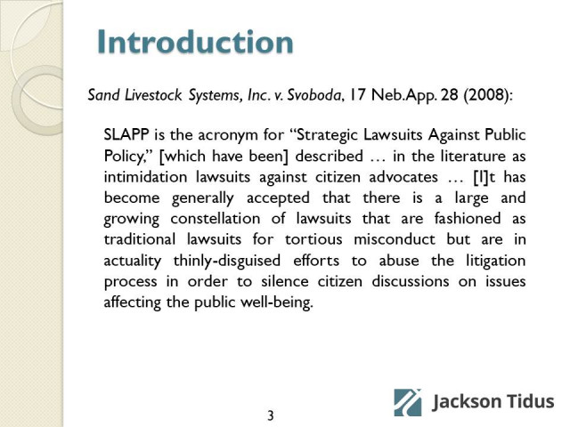 Anti-SLAPP Litigation Representation