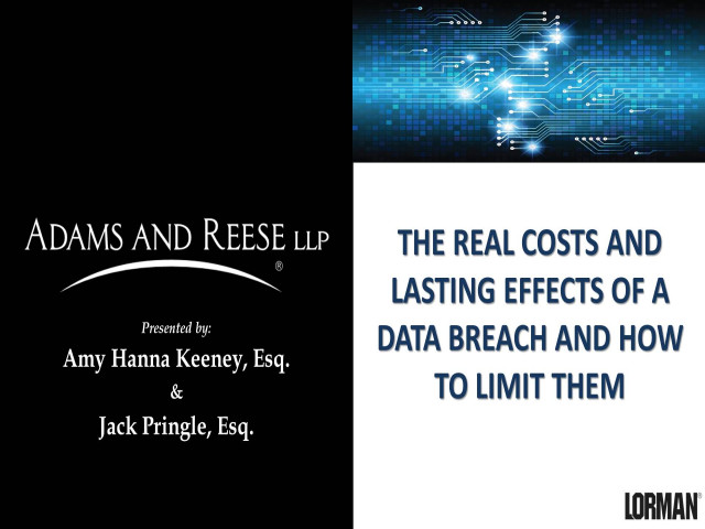 The Real Costs and Lasting Effects of a Data Breach and How to Limit Them