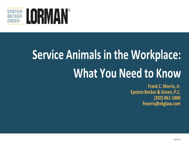 Service Animals in the Workplace: What You Need to Know