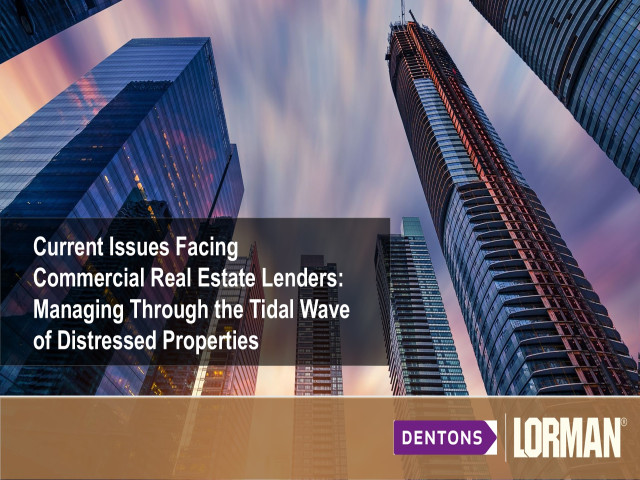 Current Issues Facing Real Estate Lenders: Managing Through the Tidal Wave of Distressed Properties